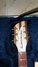 Rickenbacker 360/6 , Mapleglo: Headstock