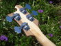 Rickenbacker 4003/4 , Mapleglo: Headstock - Rear
