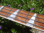 Rickenbacker 4003/4 , Mapleglo: Neck - Front