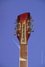 Rickenbacker 660/12 TP, Fireglo: Headstock