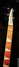 Rickenbacker 4003/4 , Midnightblue: Free image2