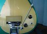 Rickenbacker 400/6 PW Refin, Cloverfield Green: Free image