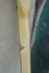 Rickenbacker 4001/4 BT, White: Neck - Rear