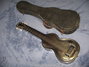 Rickenbacker NS 100/6 LapSteel, Silver: Body - Front