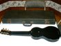Rickenbacker B/6 LapSteel, Black: Full Instrument - Rear