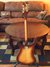 Rickenbacker 480/6 , Autumnglo: Full Instrument - Rear