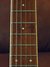 Rickenbacker 480/6 , Autumnglo: Neck - Front