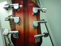Rickenbacker 330/6 , Fireglo: Headstock - Rear