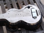 Rickenbacker NS 100/6 LapSteel, Silver: Body - Front