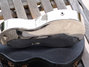 Rickenbacker NS 100/6 LapSteel, Silver: Close up - Free2