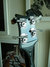 Rickenbacker 4003/4 , Jetglo: Headstock - Rear