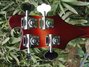 Rickenbacker 4003/4 , Fireglo: Headstock - Rear