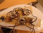 Rickenbacker 4003/4 S, Mapleglo: Free image