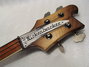 Rickenbacker 4001/4 FL, Autumnglo: Headstock
