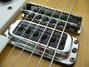 Rickenbacker 360/6 , Mapleglo: Neck - Front
