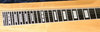 Rickenbacker Jerry Byrd/8 Console Steel, Blonde: Neck - Front