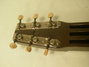 Rickenbacker Academy/6 LapSteel, Brown: Headstock - Rear