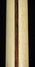 Rickenbacker 360/6 , Mapleglo: Neck - Rear