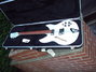 Rickenbacker 330/6 , Blue Boy: Neck - Front