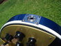 Rickenbacker 660/12 , Midnightblue: Close up - Free