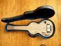Rickenbacker NS 100/6 LapSteel, Silver: Body - Front