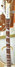 Rickenbacker 4003/4 , Mapleglo: Neck - Front
