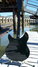 Rickenbacker 330/6 BH BT, Jetglo: Full Instrument - Rear