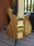 Rickenbacker 650/6 Sierra, Natural Walnut: Free image