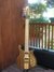 Rickenbacker 650/6 Sierra, Natural Walnut: Full Instrument - Front