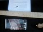 Rickenbacker 650/6 Sierra, Natural Walnut: Neck - Front