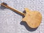 Rickenbacker 370/12 , Natural: Full Instrument - Rear