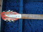 Rickenbacker 450/12 , Fireglo: Free image