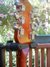 Rickenbacker 450/12 , Fireglo: Headstock - Rear