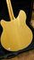 Sep 1994 Rickenbacker 360/12 , Mapleglo: Body - Rear