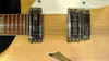 Rickenbacker 360/12 , Mapleglo: Close up - Free2