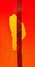 Rickenbacker 4001/4 , Fireglo: Close up - Free