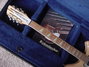 Rickenbacker 360/12 , Mapleglo: Neck - Front