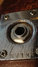 Rickenbacker 365/6 Capri, Custom: Free image