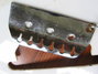 Rickenbacker 425/6 , Mapleglo: Close up - Free