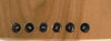 Rickenbacker 102/6 LapSteel, Blonde: Free image2