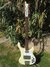 Rickenbacker 4001/4 CS, Cream: Full Instrument - Front
