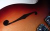 Rickenbacker 1998/6 PT, Fireglo: Free image
