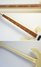 Rickenbacker 4001/4 WT, White: Neck - Front