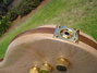 Rickenbacker 4004/4 Cii, Mapleglo: Free image2