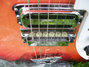 Rickenbacker 360/6 , Fireglo: Close up - Free2