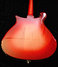 May 2006 Rickenbacker 620/6 , Fireglo: Body - Rear