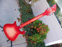 Rickenbacker 620/6 , Fireglo: Neck - Rear