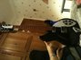 Rickenbacker 330/6 , Jetglo: Full Instrument - Front