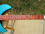 Rickenbacker 330/6 , Turquoise: Neck - Front