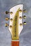 Rickenbacker 700/6 PW Build (acoustic), Blonde: Headstock